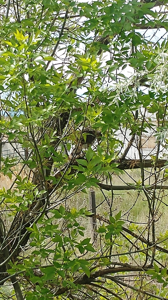 20170518_164051.jpg