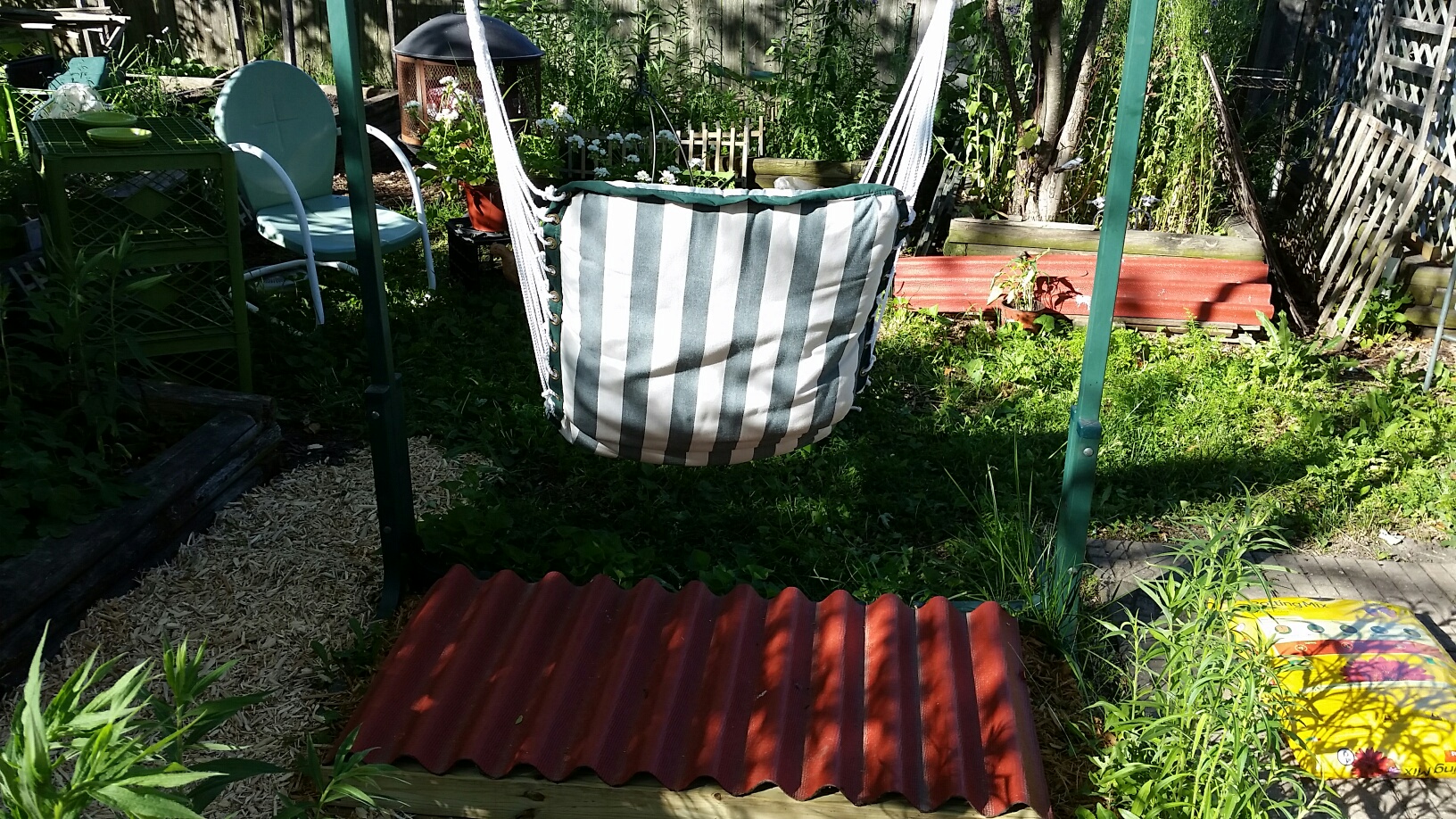 20170610_175033_resized.jpg