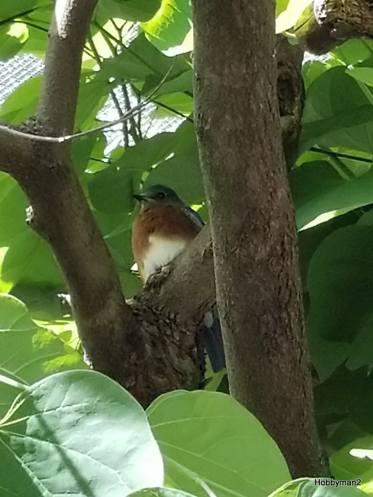 20170610_111210-001.jpg