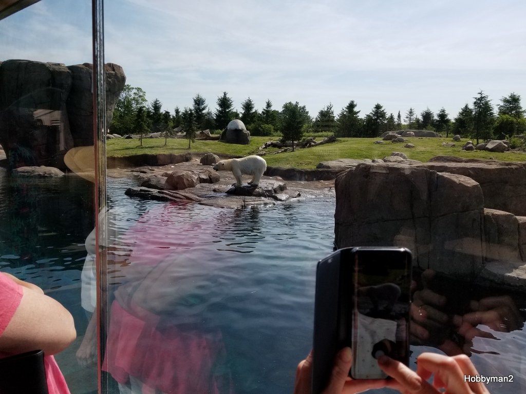 20170610_102126.jpg
