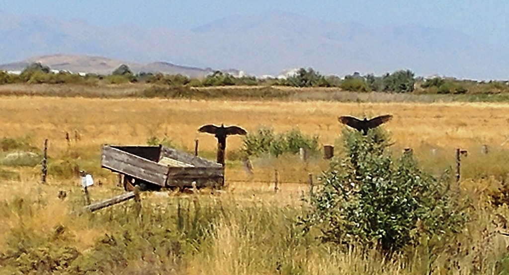 20170911_121411.jpg