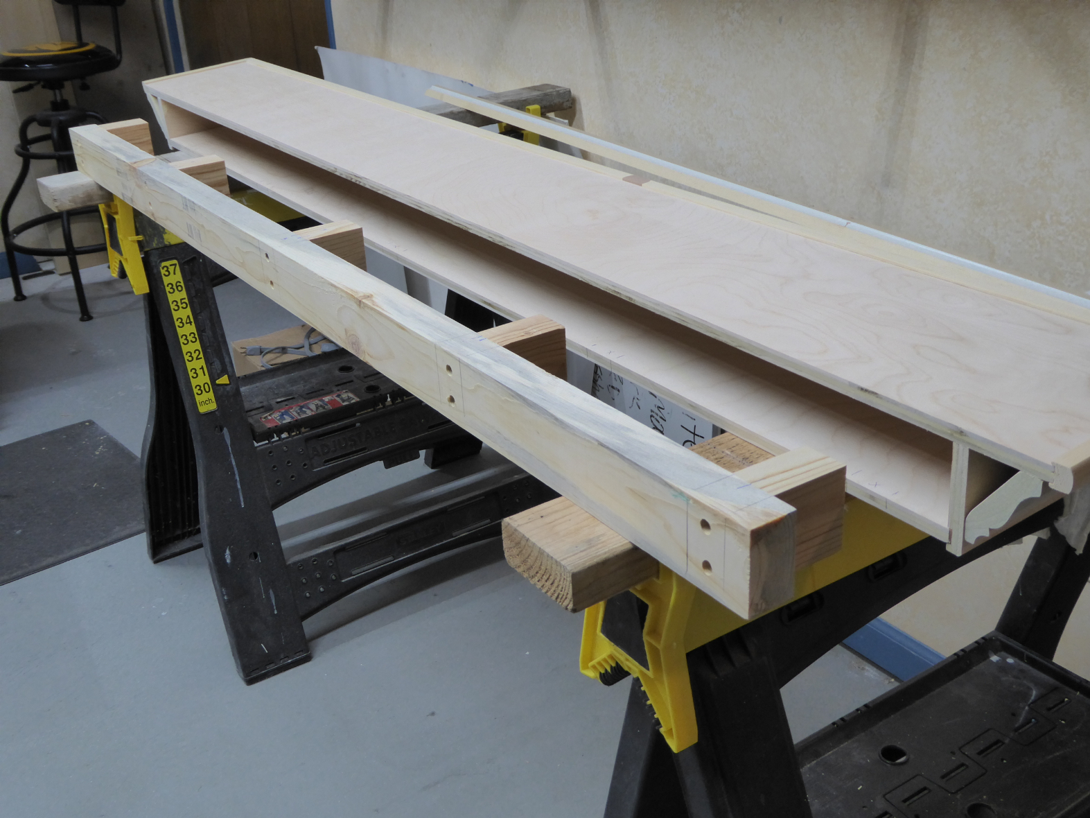 Display Shelf 807.JPG