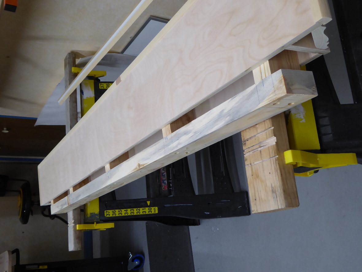 Display Shelf 808.JPG