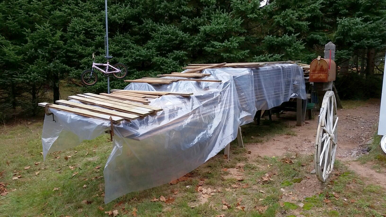 woodpile.jpg
