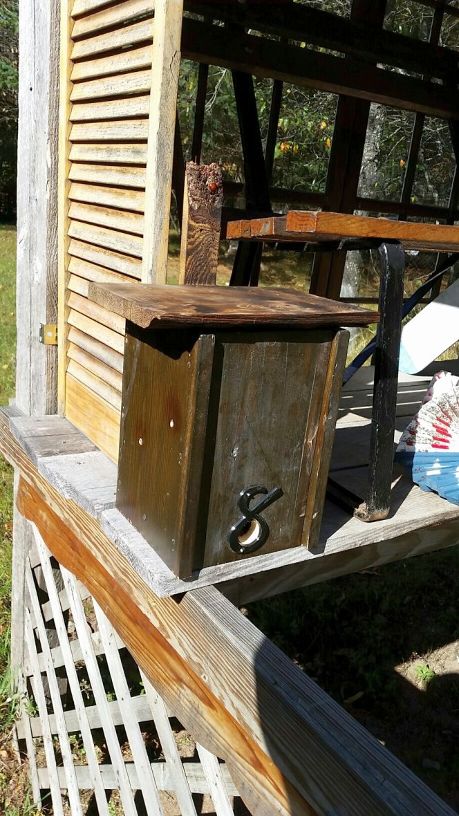 roosting box.jpg