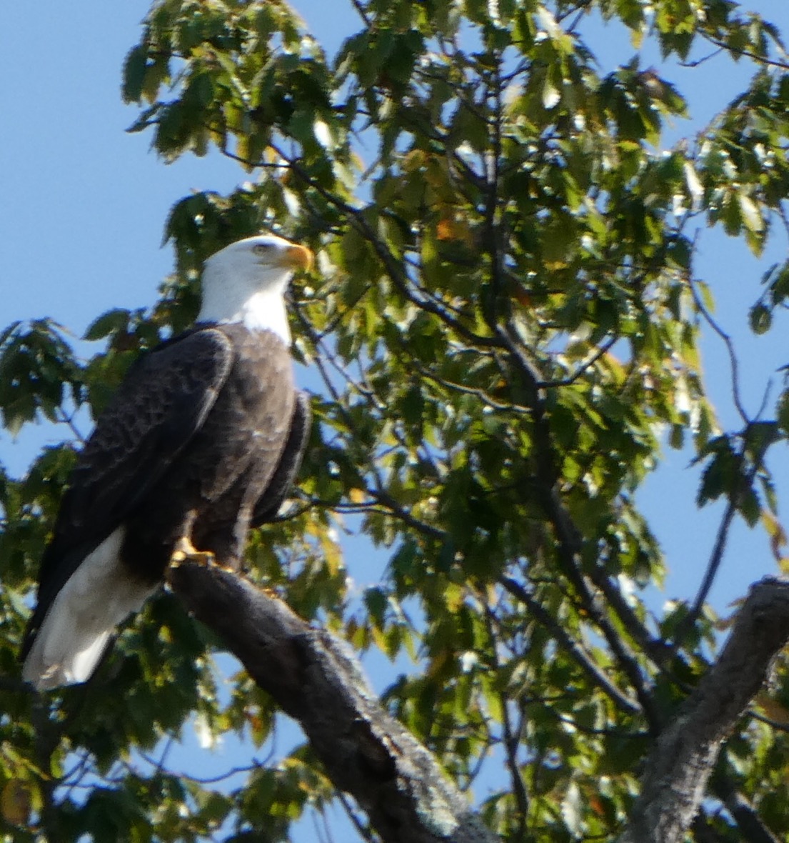 IMG_5071.JPG