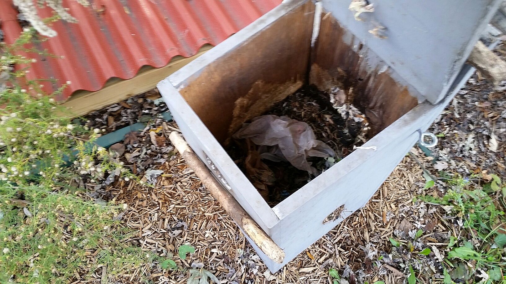 20171103_154107_resizeda.jpg