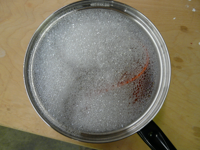 P1000738(1).JPG