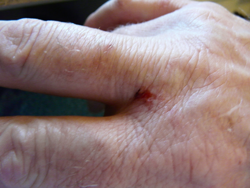 P1000753(1).JPG