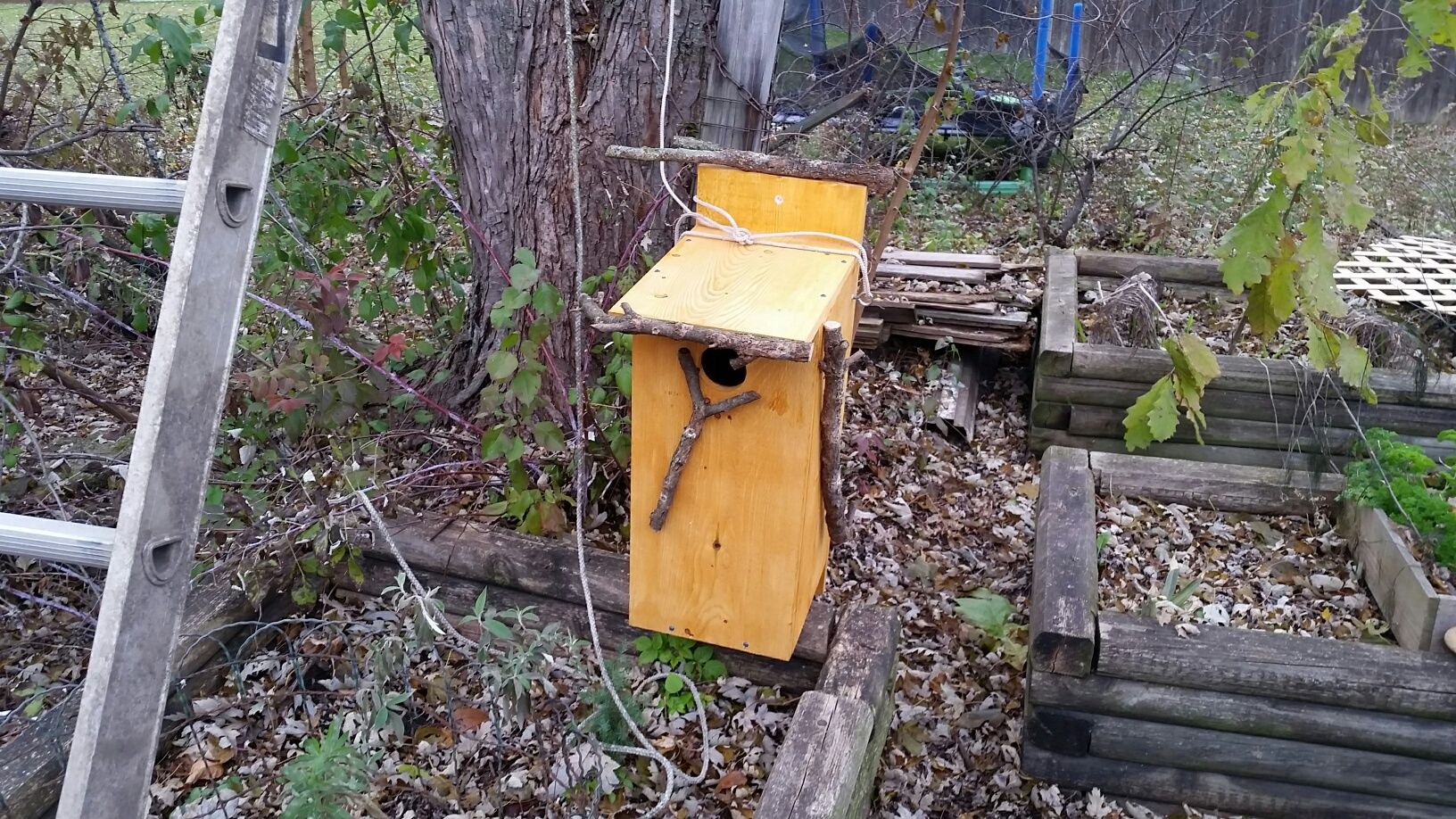 20171114_152141_resizeda.jpg