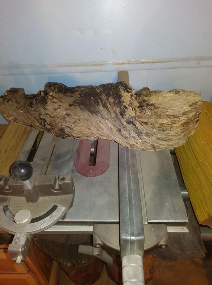 Woodshop - twisted wood.jpg