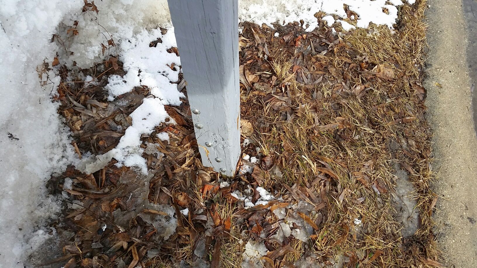 20180218_124829_resized.jpg