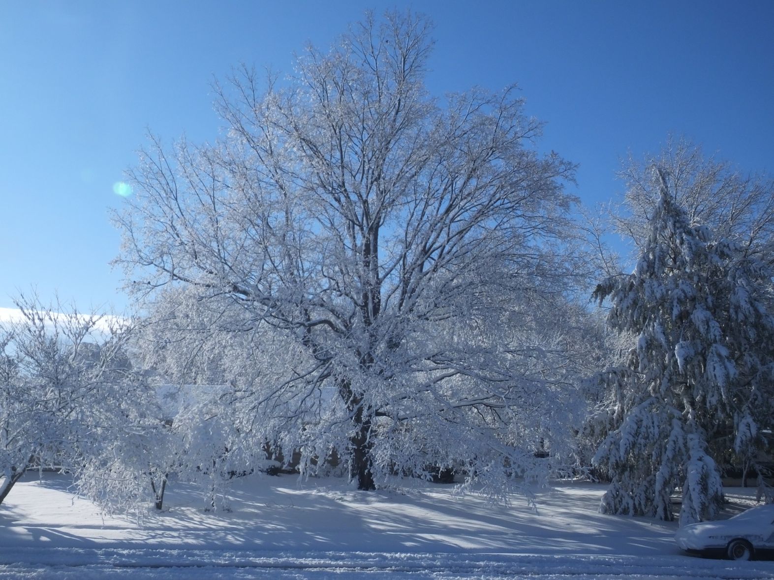 good March morning KY.jpg