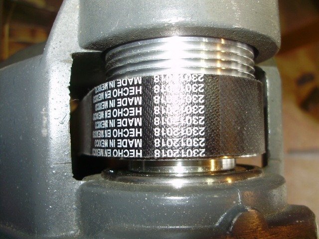 P2040323.JPG