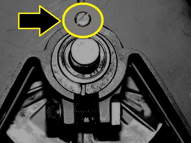 Bearing Retainer Screw in Headstock with large Fender Washer.jpg