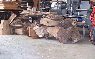 Burl02050898.jpg