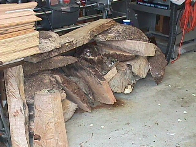 Burl 03050898.jpg