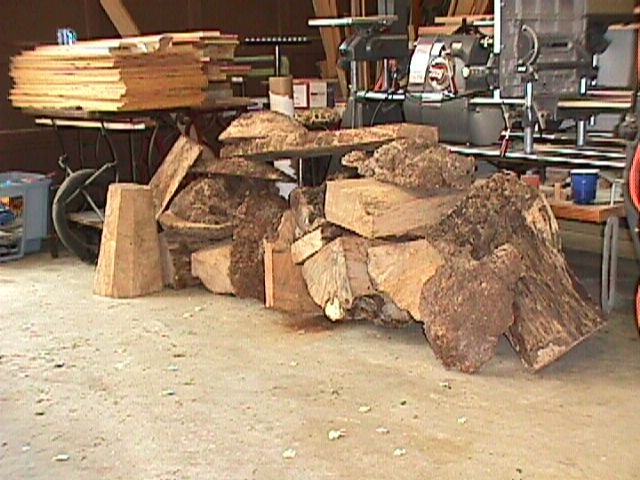 Burl 04050898.jpg