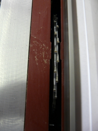 P1000824.jpg