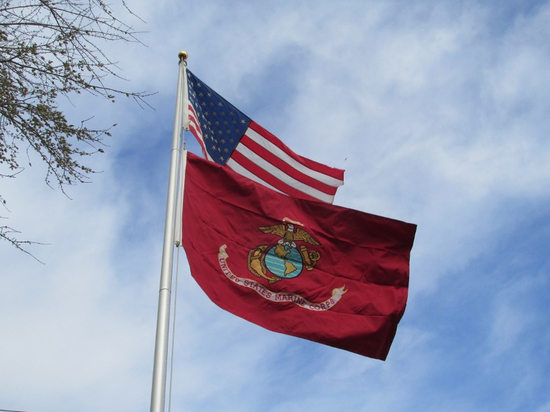usmcflag.jpg