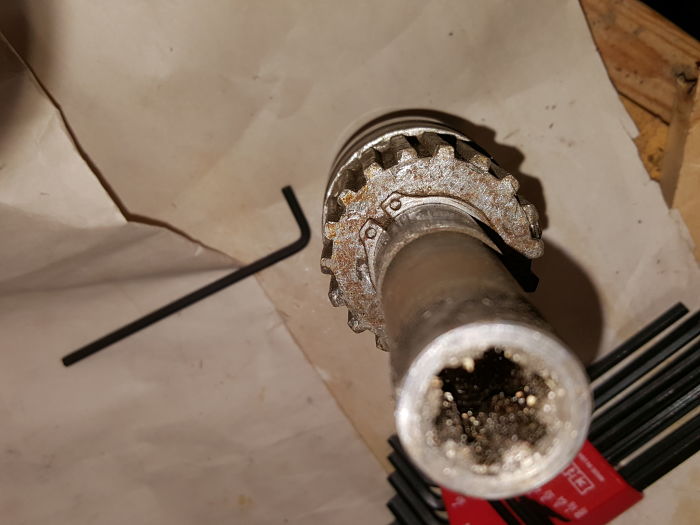 20180704_144430_opt.jpg