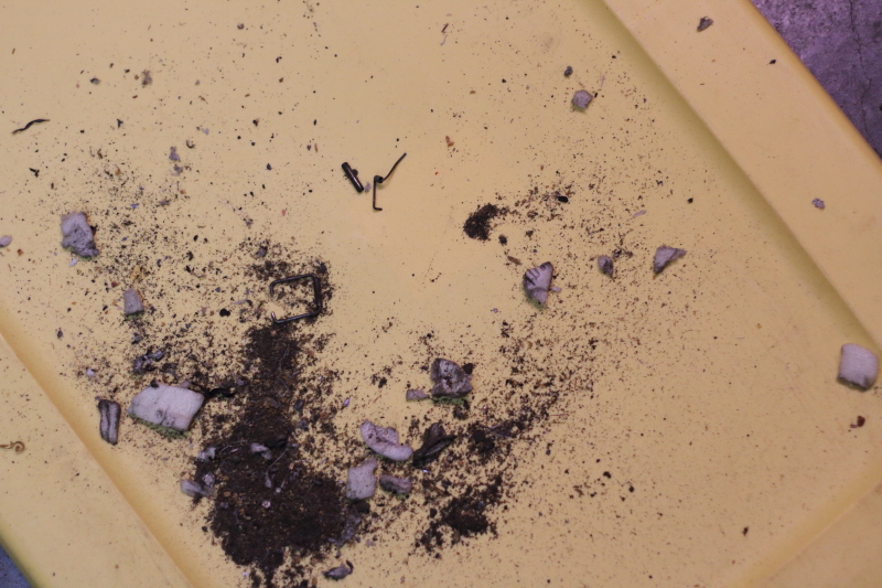 debris including some pins from inside the case