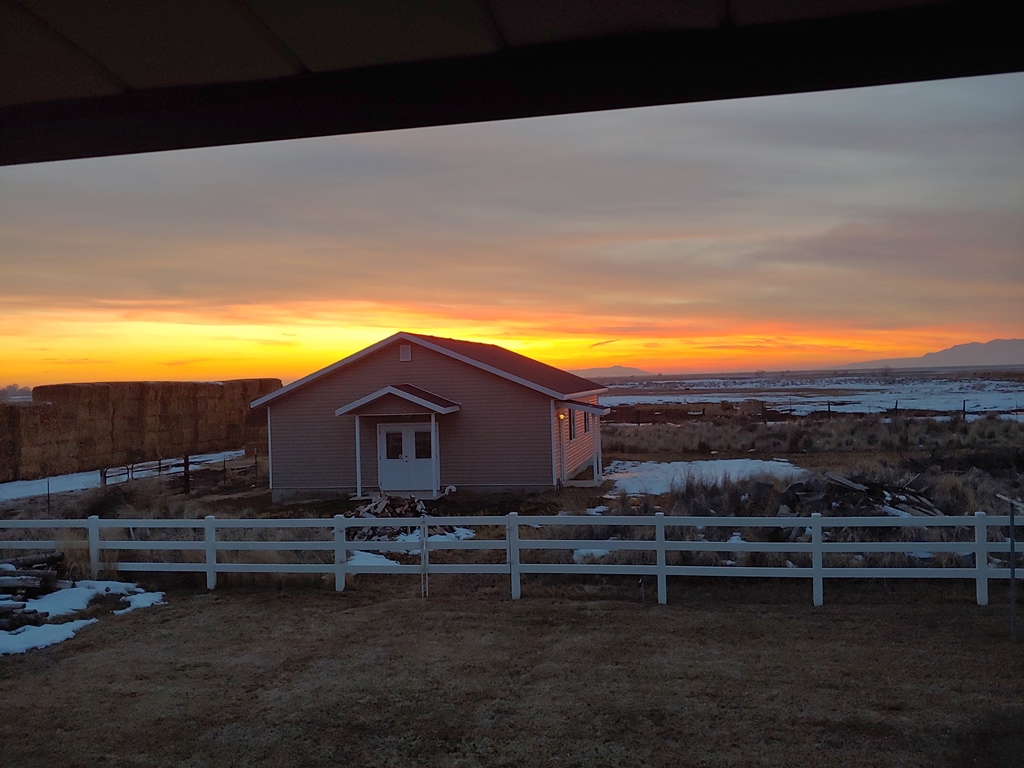 20190130_180047_HDR.jpg