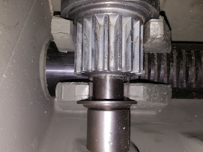 20190318_115401_opt.jpg