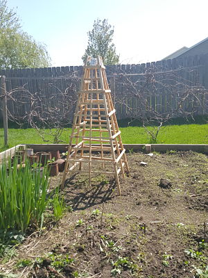 20190513_104140_opt.jpg