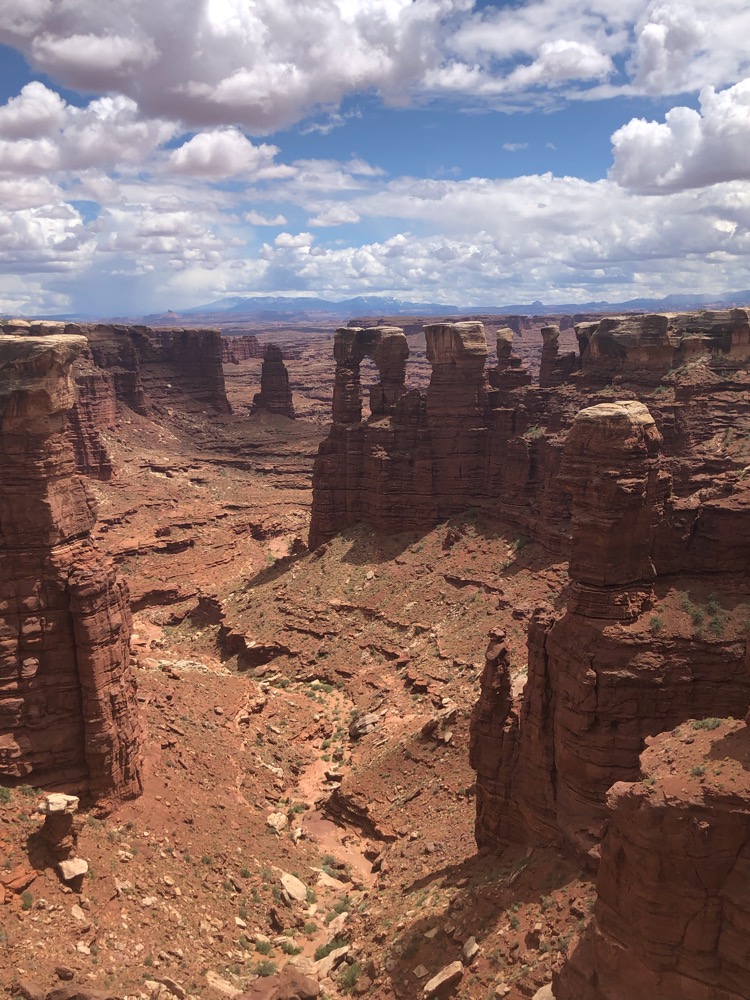 A505AC70-0A57-4AB8-9F62-1A25F4AA94D8.jpeg