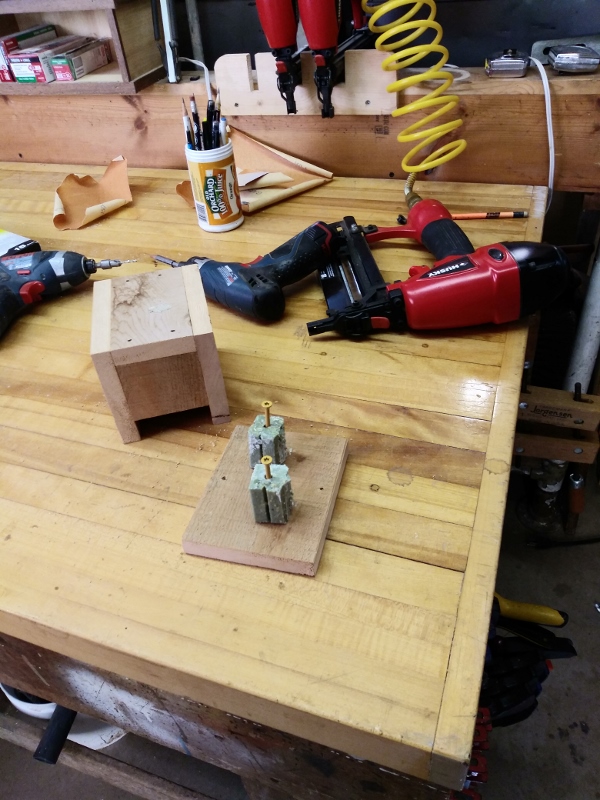 20190711_161812 (600x800).jpg