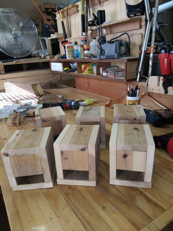 20190711_172526 (600x800).jpg