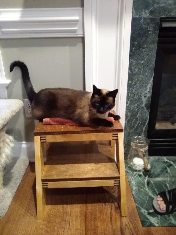stool3.jpg