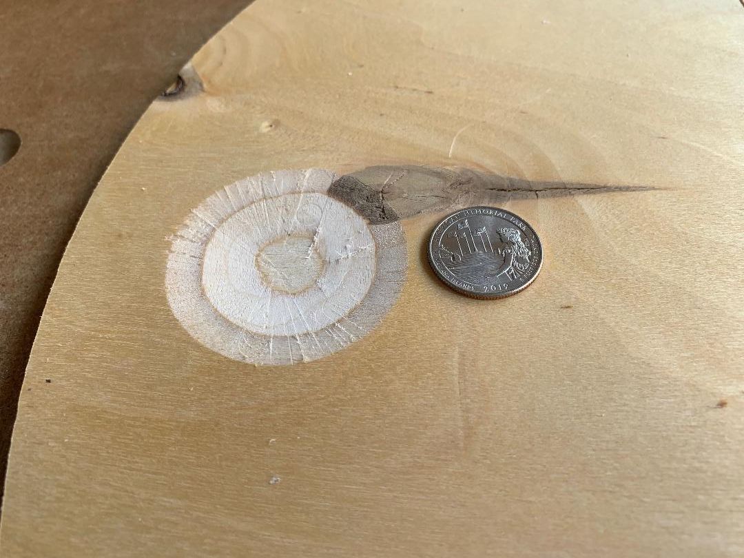 p smallest dish.jpg