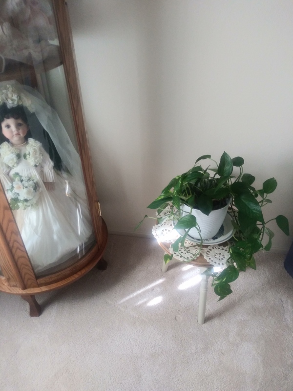 Plant Stand2.jpg