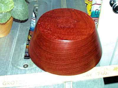 paduk small.jpg