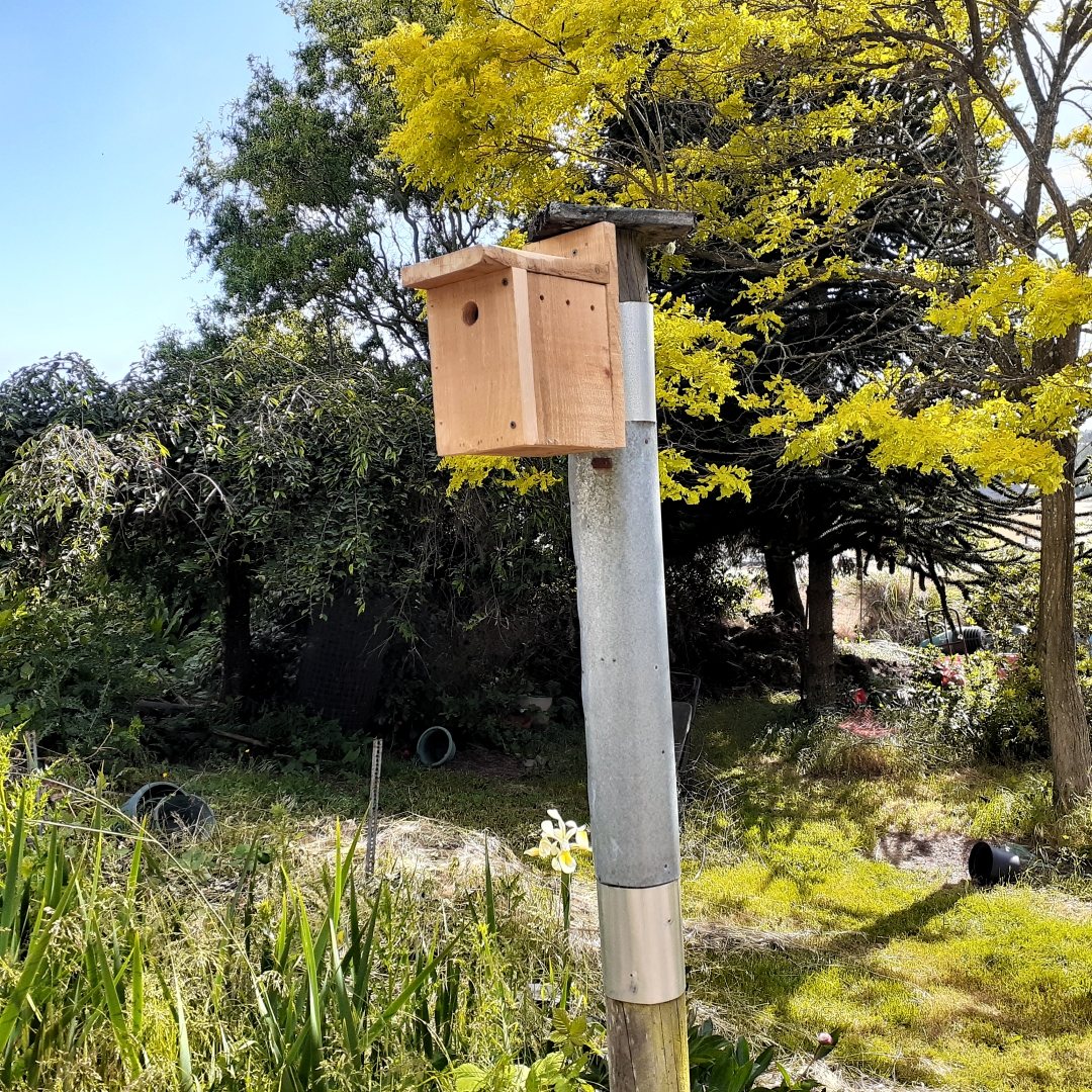 chickadee house.jpg