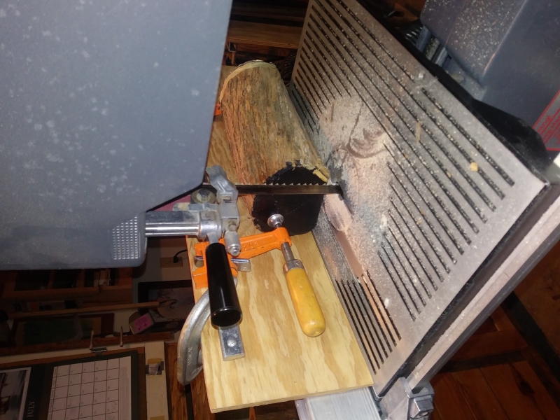 SS board slicer 2.jpg
