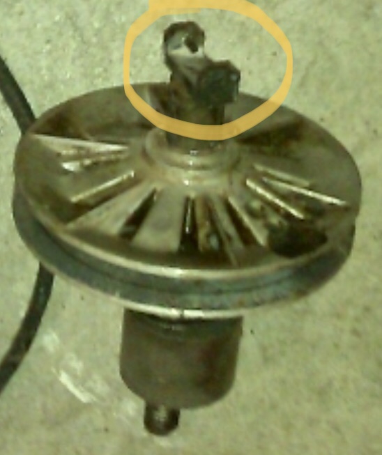 1602E4F8-6728-4131-9C15-356C9F84092E.jpeg