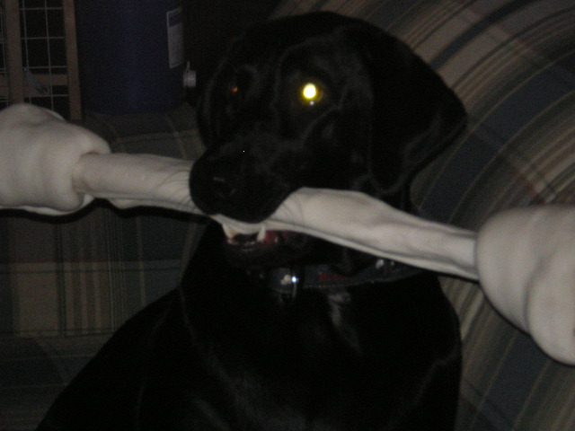 IMGP0070.JPG