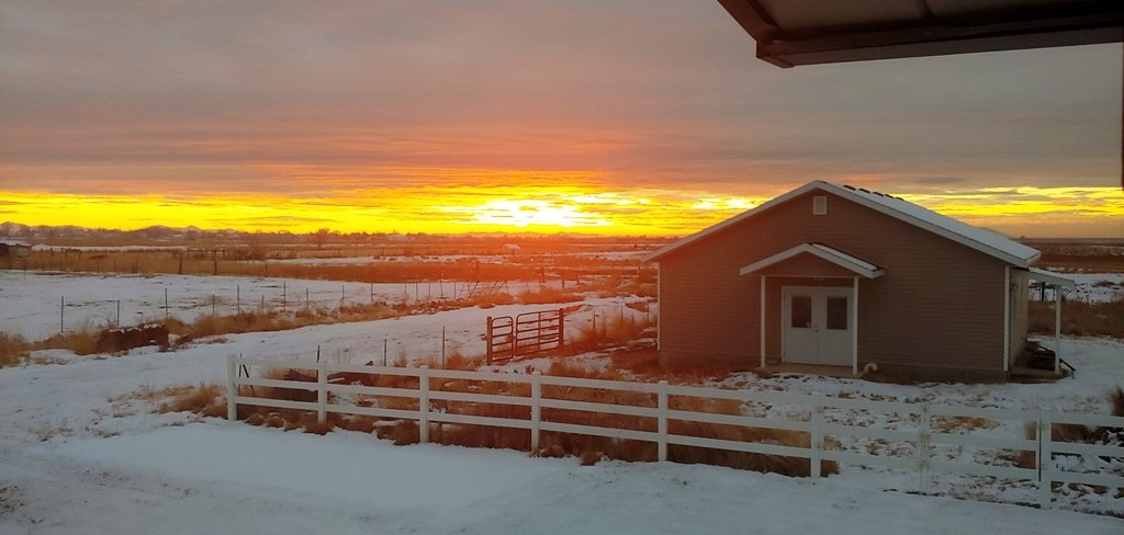 20201220_171002_HDR.jpg