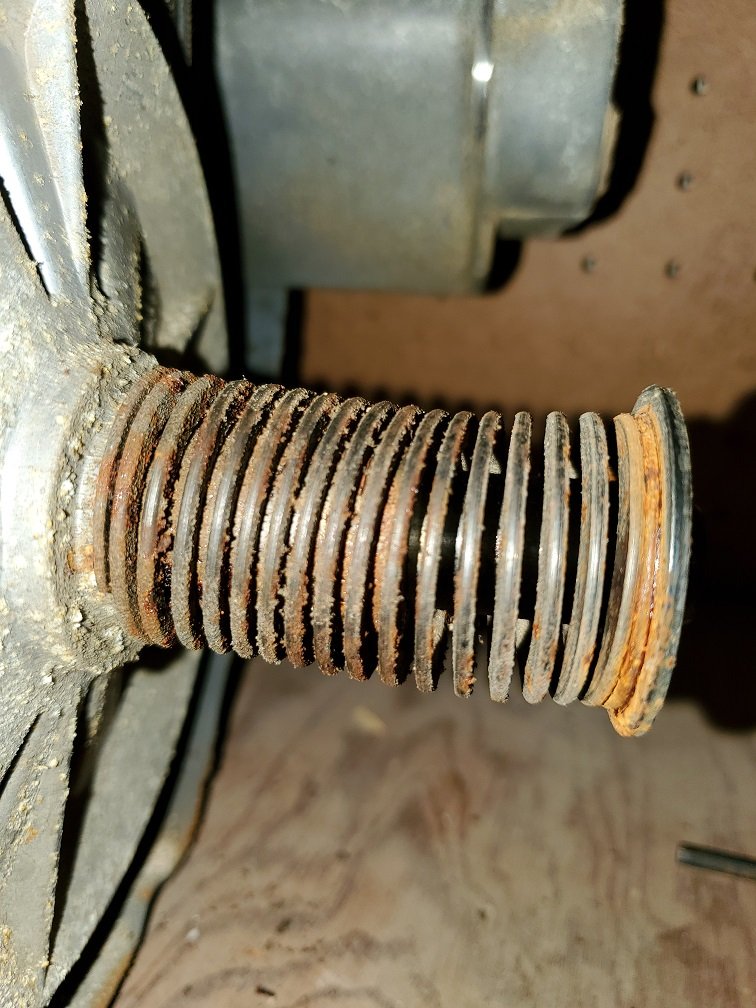 20201220_191749.jpg