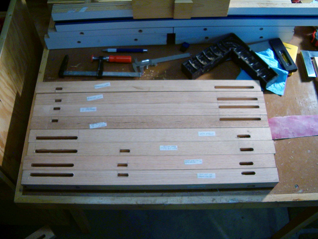 fronts_of_rear_legs_&_rear_of_front_legs.jpg