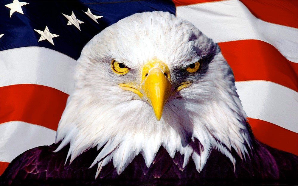 United We Stand