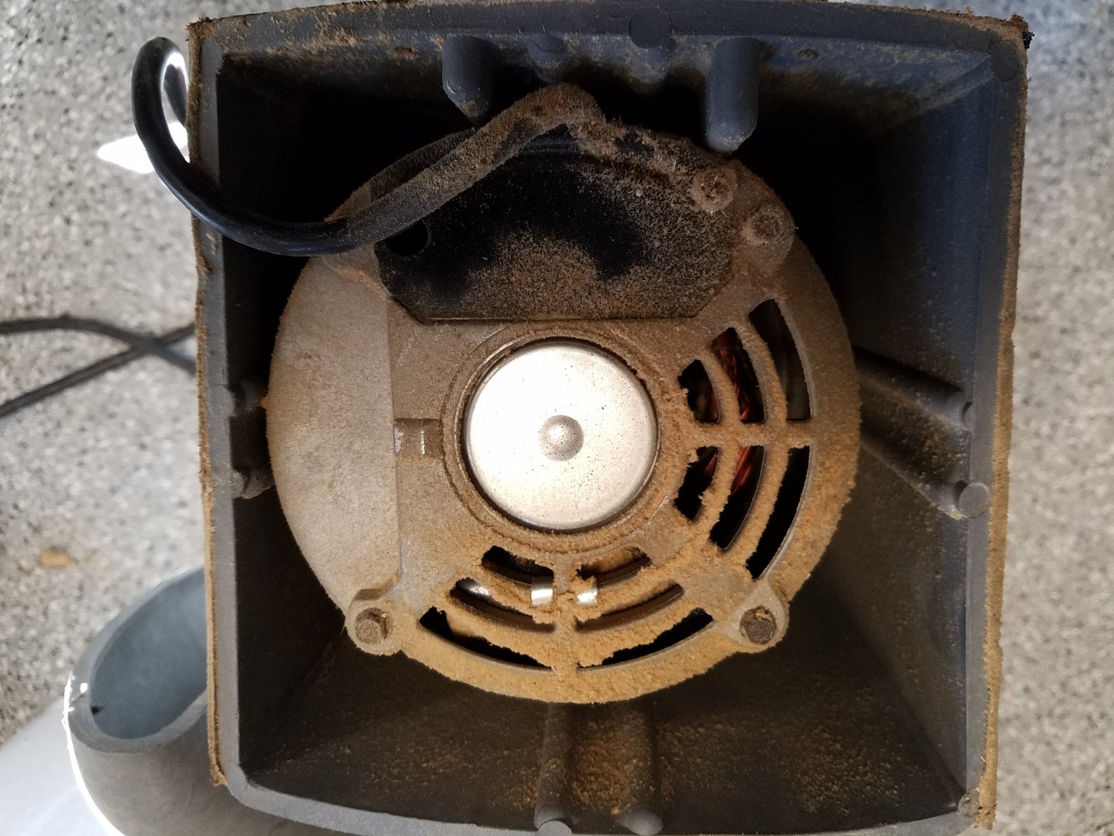 DC-3300 motor right after pulling the motor housing