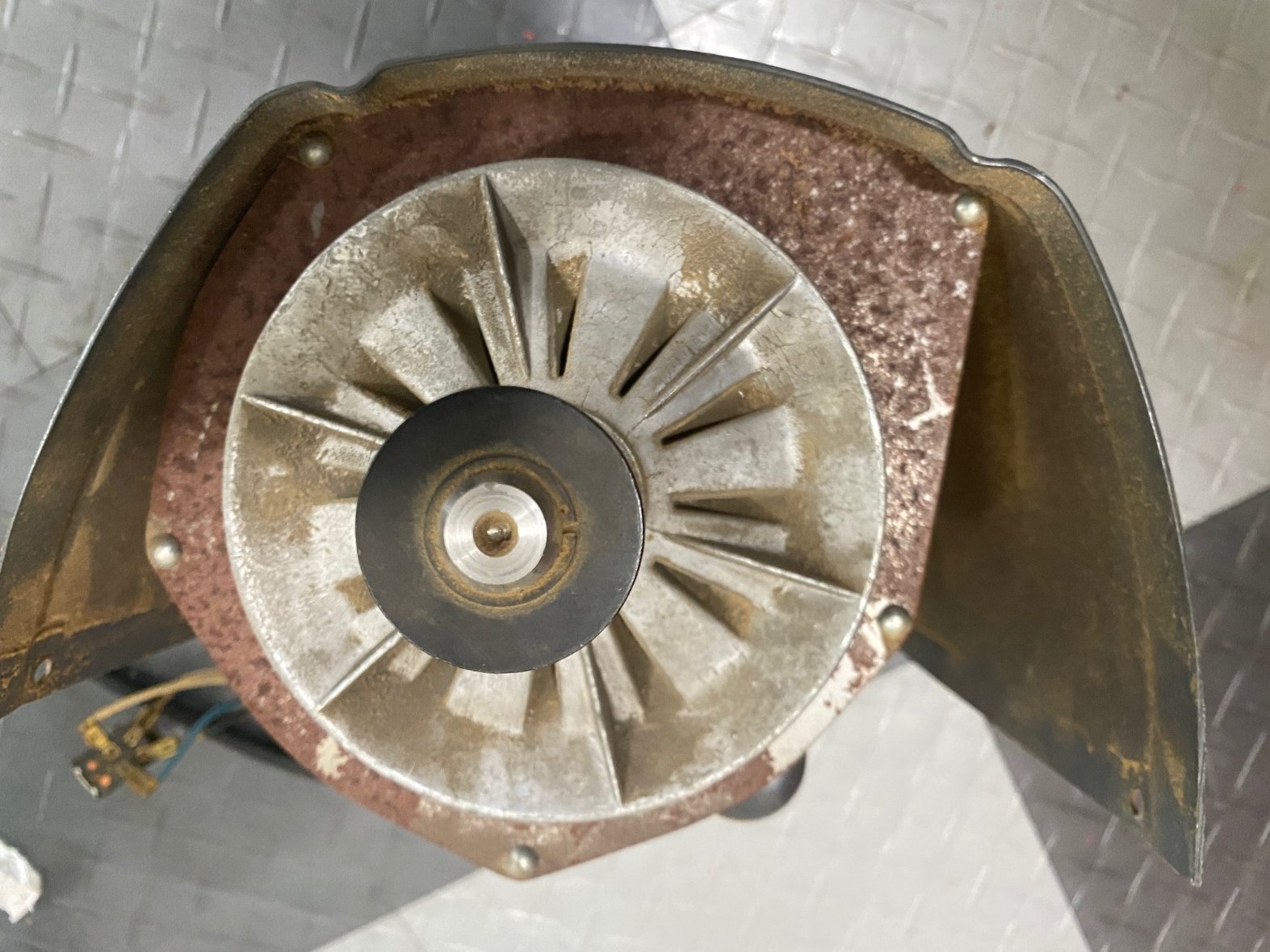 motor 3.jpg