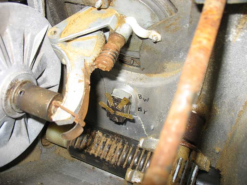 ssheadinside2.jpg