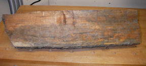 cherry log.jpg
