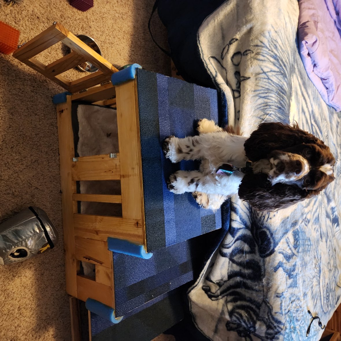 Carpet makes it easier for him to grip and not slide around.