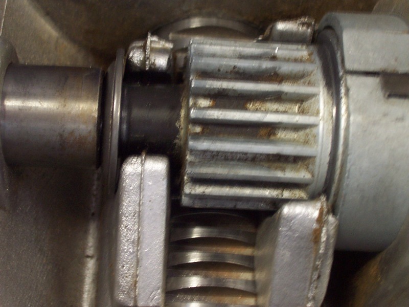 100_0799.jpg